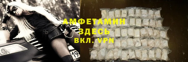 крисы Горняк