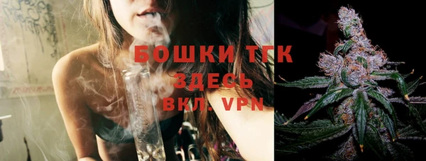 крисы Горняк