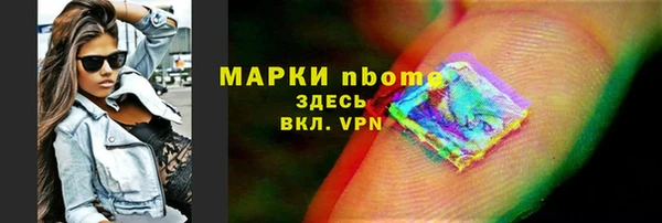 крисы Горняк