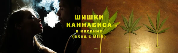 крисы Горняк
