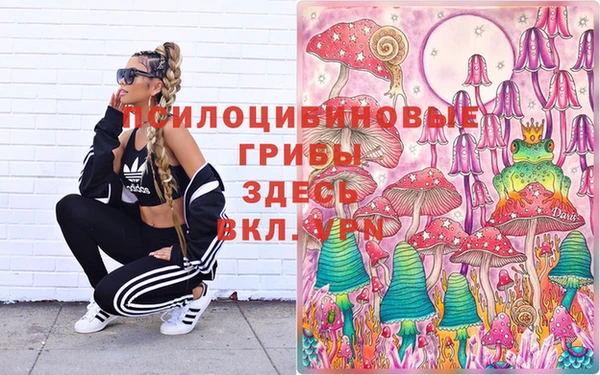 марки lsd Горнозаводск
