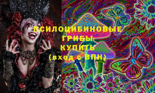 крисы Горняк