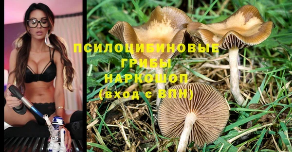 крисы Горняк