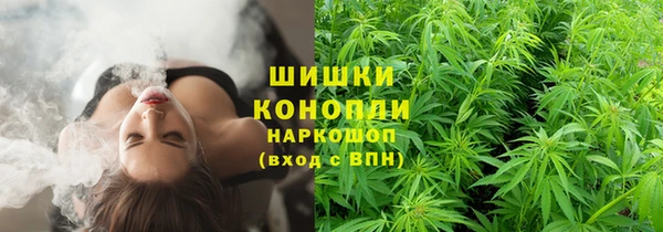стаф Тихорецк