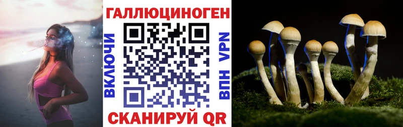 магазин продажи   Трёхгорный  Галлюциногенные грибы мицелий 